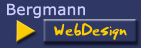 Bergmann-Webdesign